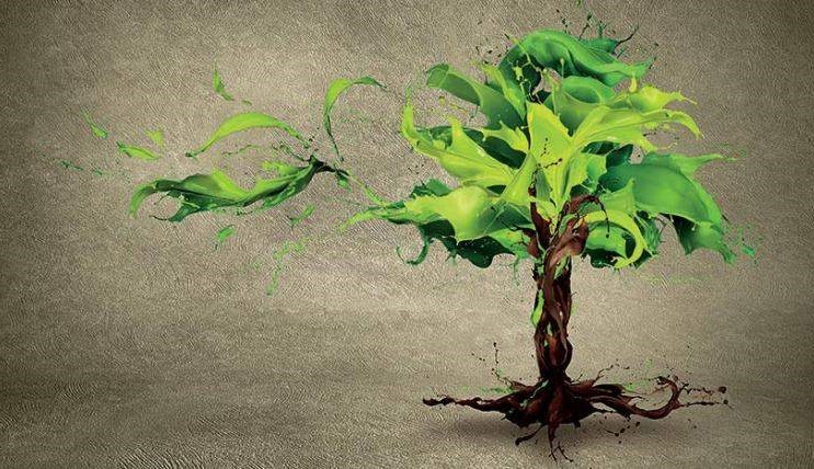 Vernici ecologiche all'acqua — impegno per l'ambiente