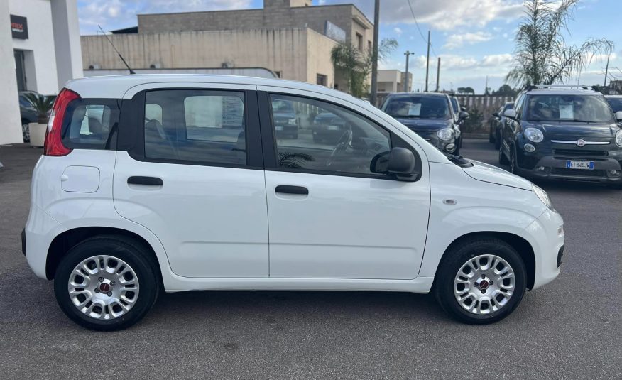 Fiat Panda 1.2 69 cv E6 Easy