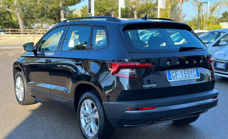Skoda Karoq 2.0 TDI Evo 115 Cv. Executive