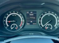 Skoda Karoq 2.0 TDI Evo 115 Cv. Executive