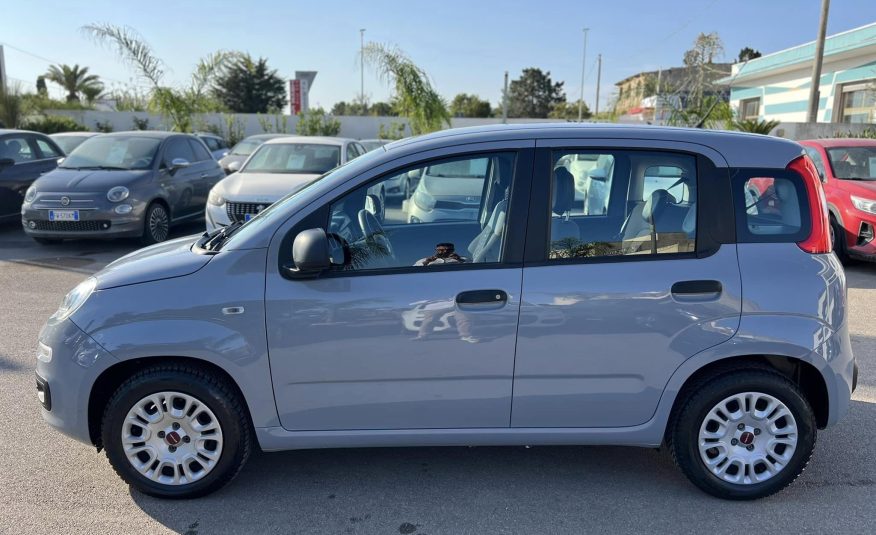 Fiat Panda 1.2 69 cv Easy