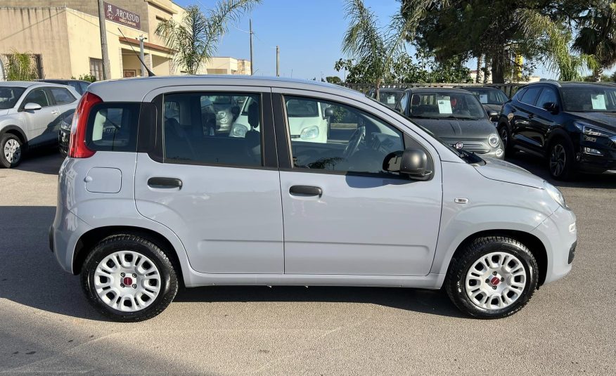 Fiat Panda 1.2 69 cv Easy