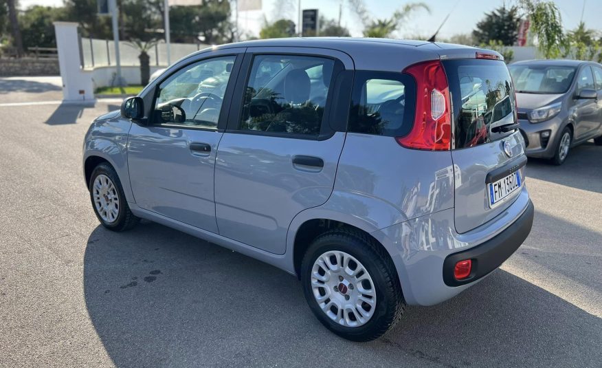 Fiat Panda 1.2 69 cv Easy