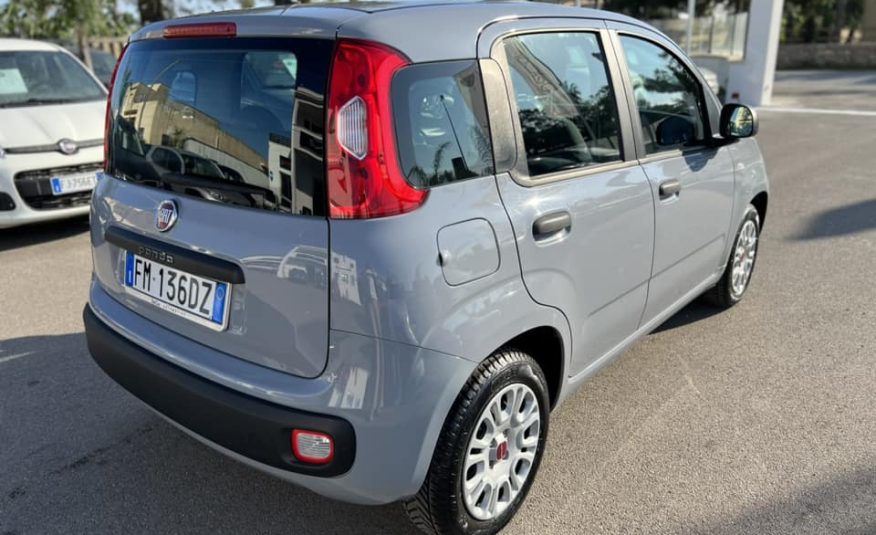 Fiat Panda 1.2 69 cv Easy