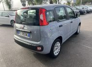 Fiat Panda 1.2 69 Cv. Easy
