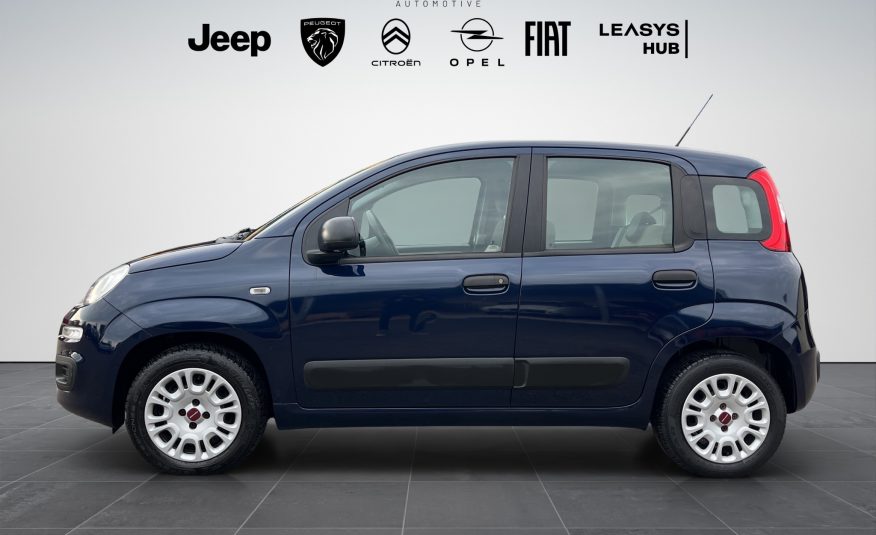 FIAT PANDA 1.2 69 Cv. EASY