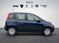 FIAT PANDA 1.2 69 Cv. EASY