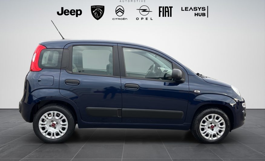 FIAT PANDA 1.2 69 Cv. EASY