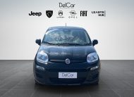 FIAT PANDA 1.0 70 CV HYBRID ICON