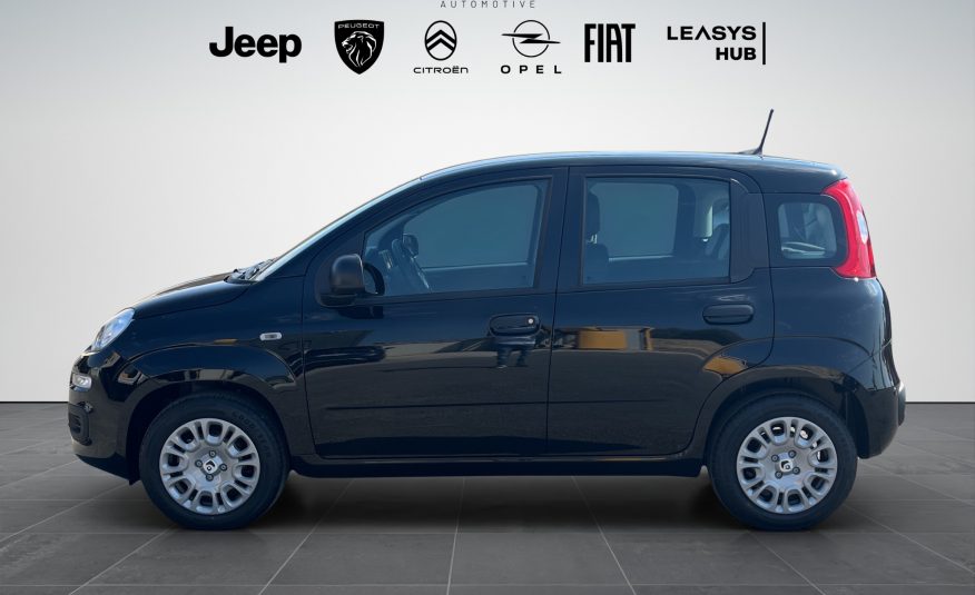 FIAT PANDA 1.0 70 CV HYBRID ICON