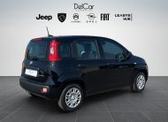 FIAT PANDA 1.0 70 CV HYBRID ICON