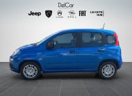 FIAT PANDA 1.0 70 CV HYBRID ICON
