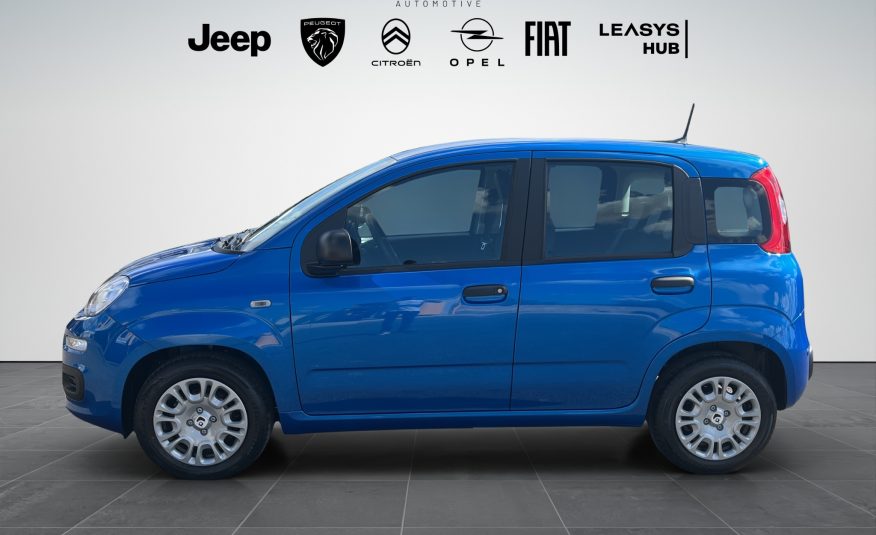 FIAT PANDA 1.0 70 CV HYBRID ICON