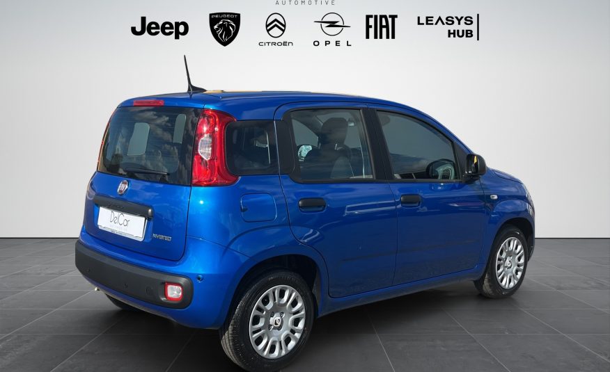 FIAT PANDA 1.0 70 CV HYBRID ICON