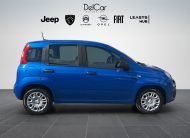 FIAT PANDA 1.0 70 CV HYBRID ICON