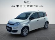 FIAT PANDA 1.2 69 CV POP