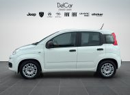 FIAT PANDA 1.0 70 CV HYBRID EASY