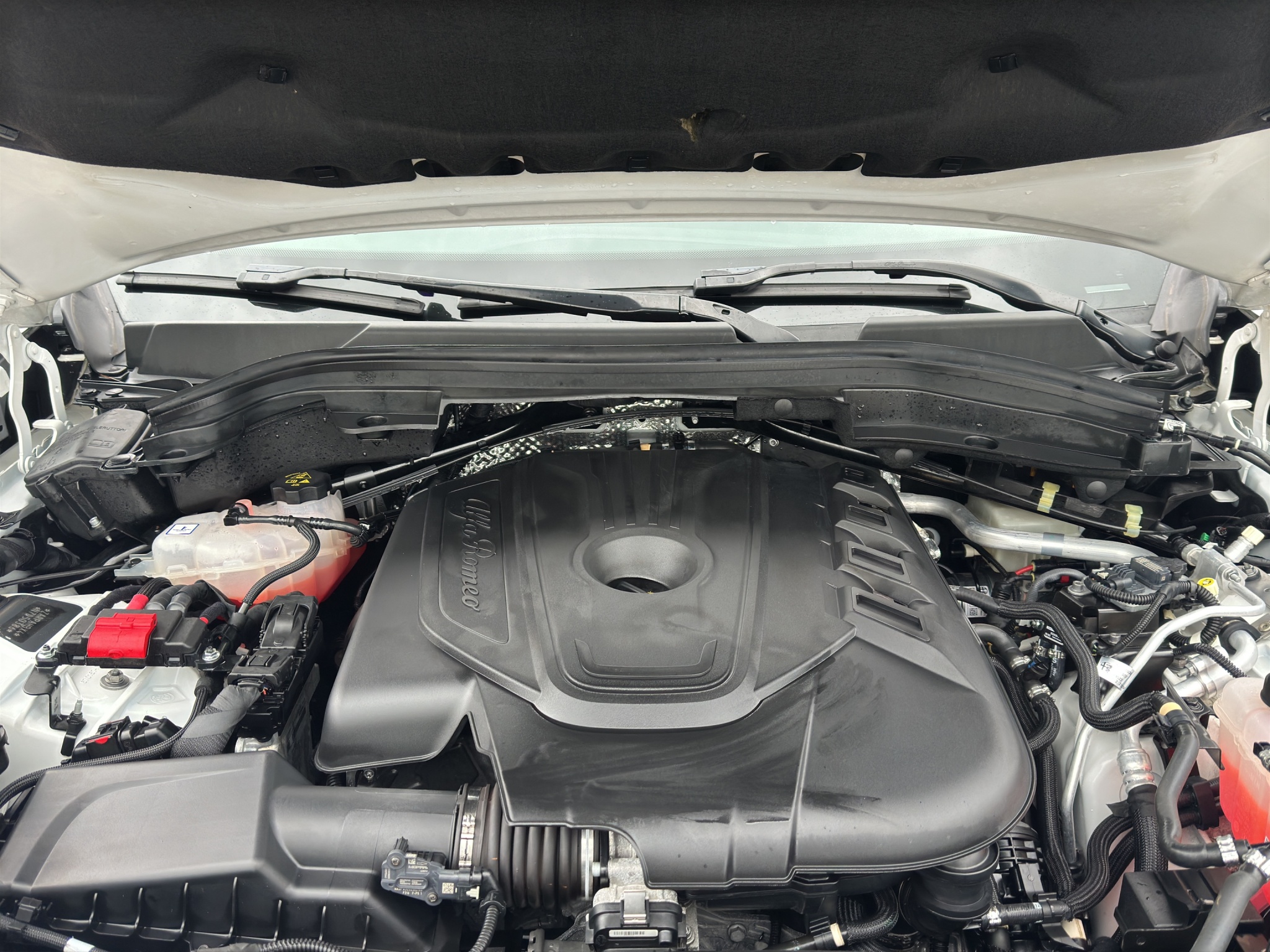 ALFA ROMEO STELVIO 2.2 TURBO DIESEL 190 C V AT8 Q4 BUSINESS PLUS