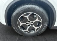 ALFA ROMEO STELVIO 2.2 TURBO DIESEL 190 C V AT8 Q4 BUSINESS PLUS