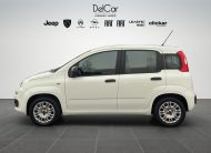 FIAT PANDA 1.2 69 CV POWER GPL EASY