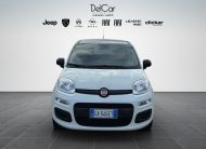 FIAT PANDA 1.2 69 CV POP