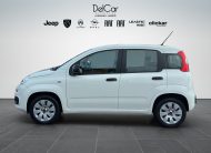 FIAT PANDA 1.2 69 CV POP