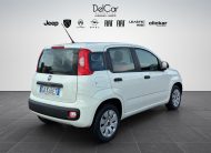 FIAT PANDA 1.2 69 CV POP