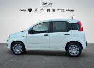 FIAT NUOVA PANDINA 1.0 FIREFLY 70 CV HYBRID