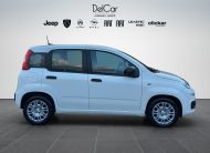 FIAT NUOVA PANDINA 1.0 FIREFLY 70 CV HYBRID