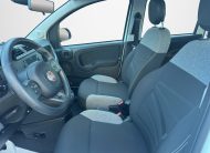 FIAT PANDA 1.0 70 CV HYBRID CITY LIFE