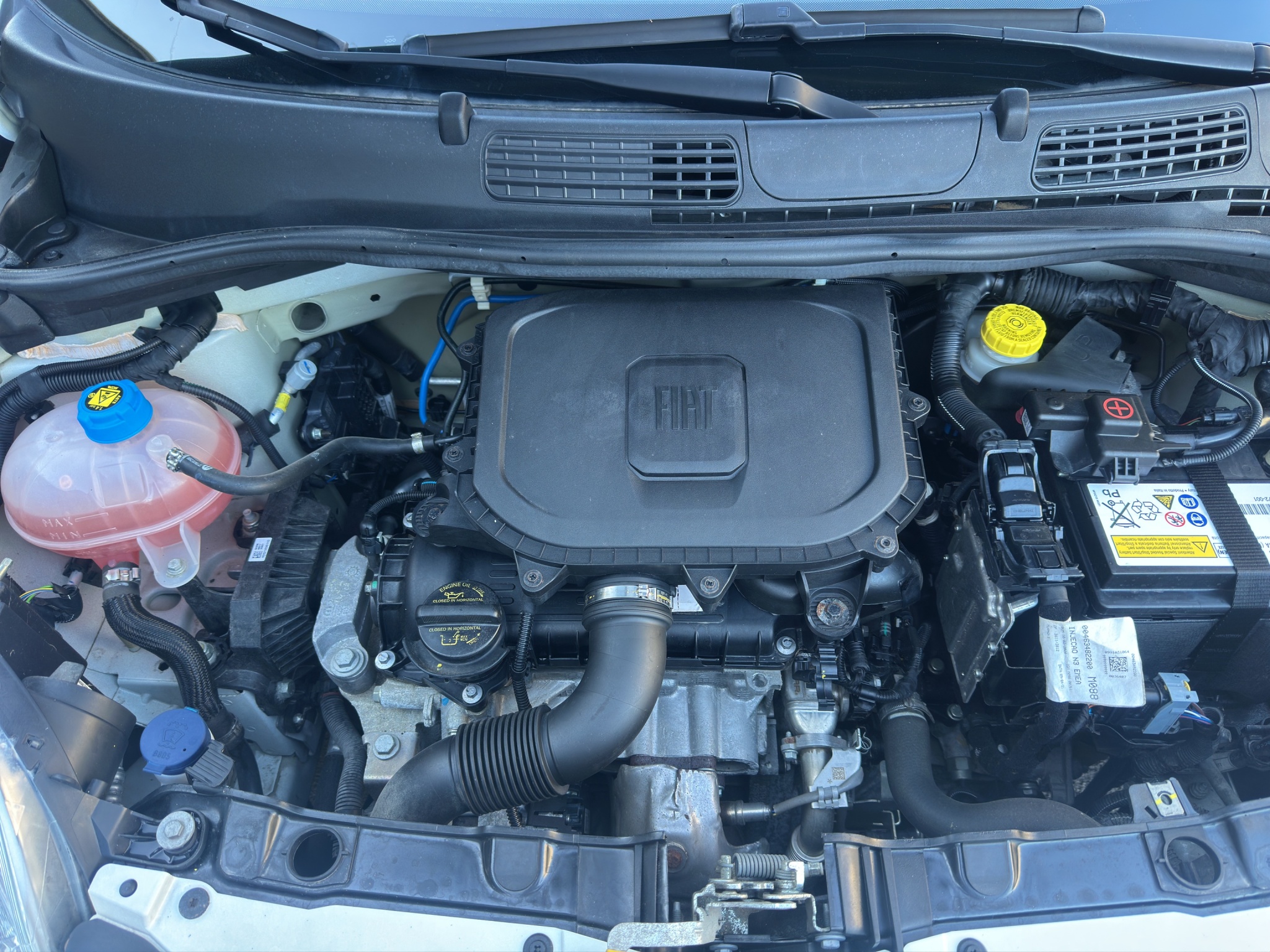 FIAT PANDA 1.0 70 CV HYBRID CITY LIFE